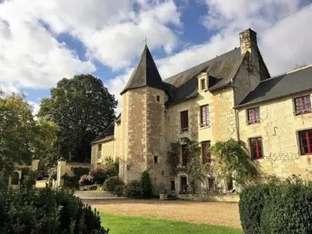 Gîte historique avec piscine privée, proche de Chinon - Photo 1