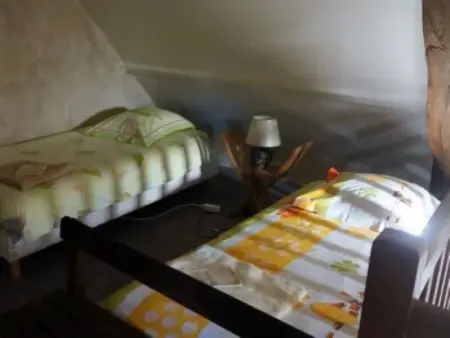 Gîte historique avec piscine privée, proche de Chinon - Photo 18