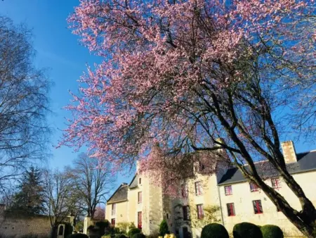 Gîte historique avec piscine privée, proche de Chinon - Photo 20
