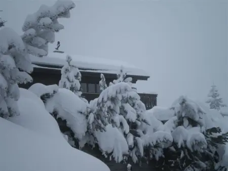 Casa Hofer, Appartement 7 personnes à Valbella - Photo 37