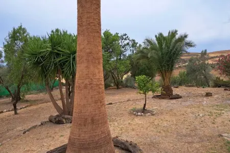 Casa Brenda & Donald, Maison 6 personnes à Villanueva de la Concepción - Photo 29