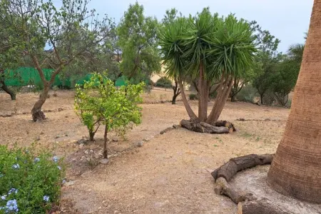 Casa Brenda & Donald, Maison 6 personnes à Villanueva de la Concepción - Photo 30