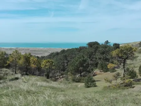 Maison cosy à Vasteville, 4 pers, terrasse privée - Photo 9