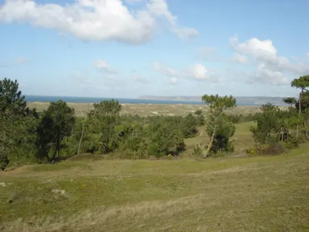 Maison cosy à Vasteville, 4 pers, terrasse privée - Photo 10