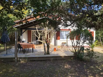 Villa in Lège Cap Ferret, Villa orientée sud avec terrasse, jardin et WiFi à Petit-Piquey - L945353