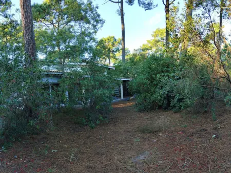 Villa en lisière de forêt avec jardin, à 1,5 km de l'Océan, idéale pour des vacances reposantes - Photo 1
