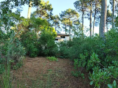 Villa en lisière de forêt avec jardin, à 1,5 km de l'Océan, idéale pour des vacances reposantes - Photo 13