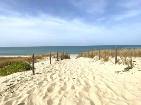 Villa en lisière de forêt avec jardin, à 1,5 km de l'Océan, idéale pour des vacances reposantes - Photo 15