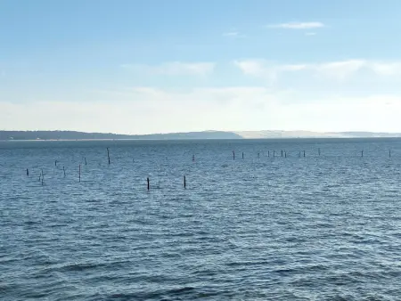 Villa en lisière de forêt avec jardin, à 1,5 km de l'Océan, idéale pour des vacances reposantes - Photo 29