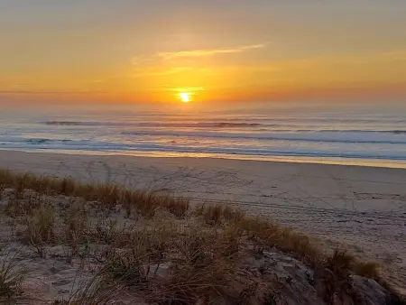 Villa familiale au Cap Ferret: face aux dunes, proche plage, grand jardin et terrasse, 10 pers - Photo 1