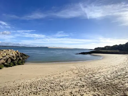 Villa familiale au Cap Ferret: face aux dunes, proche plage, grand jardin et terrasse, 10 pers - Photo 2
