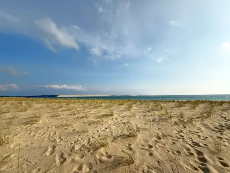 Villa familiale au Cap Ferret: face aux dunes, proche plage, grand jardin et terrasse, 10 pers - Photo 23