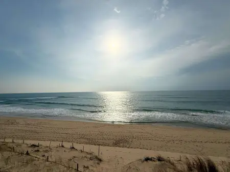Villa familiale au Cap Ferret: face aux dunes, proche plage, grand jardin et terrasse, 10 pers - Photo 24