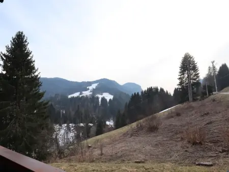 Les Gets - T2 avec parking et vue montagne, Appartement 4 personnes à Les Gets - Photo 8