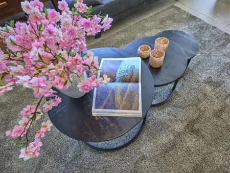 La Ferme, Maison 19 personnes à Lierneux - Photo 30