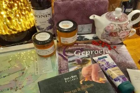 Oud-Turnhout, Maison 4 personnes à Oud Turnhout - Photo 28