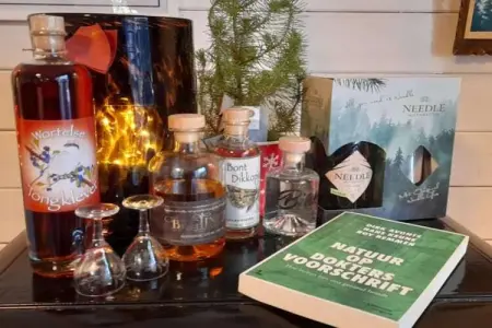 Oud-Turnhout, Maison 4 personnes à Oud Turnhout - Photo 29