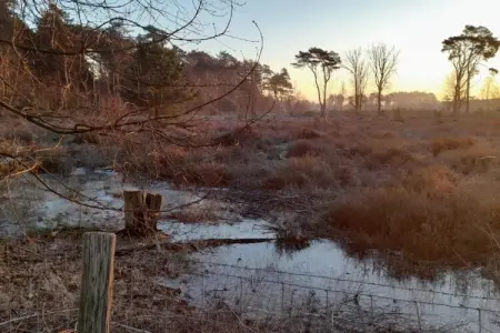 Oud-Turnhout, Maison 4 personnes à Oud Turnhout - Photo 32