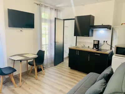 Apartment in Amélie les Bains Palalda, Studio cosy avec WIFI, climatisation et terrasse, à 50 m des Thermes - L951623