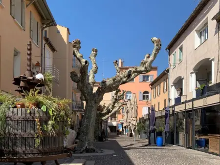 La Sapinière, Villa 10 personnes à La Garde Freinet - Photo 38