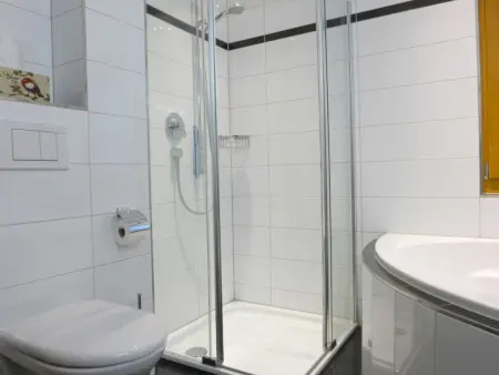 Panoramapark Soleil Haus D Apt 3, Appartement 4 personnes à Wengen - Photo 16