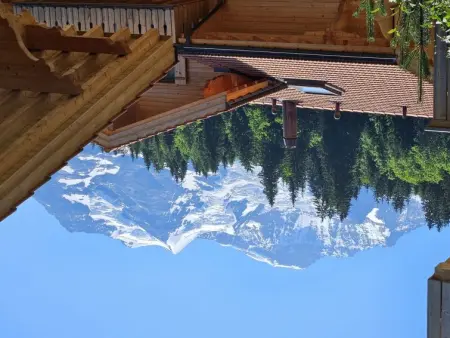 Panoramapark Soleil Haus D Apt 3, Appartement 4 personnes à Wengen - Photo 21