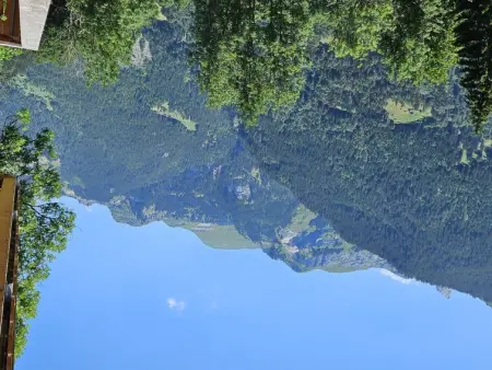 Panoramapark Soleil Haus D Apt 3, Appartement 4 personnes à Wengen - Photo 22