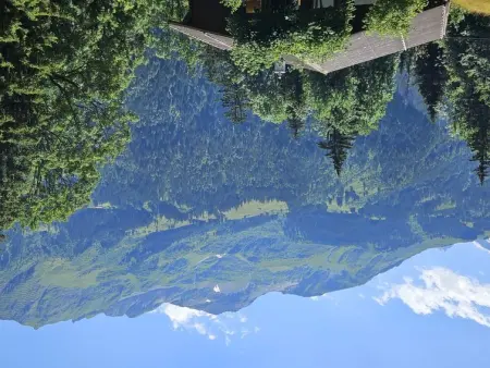 Panoramapark Soleil Haus D Apt 3, Appartement 4 personnes à Wengen - Photo 23