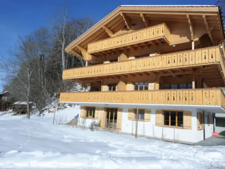 Panoramapark Soleil Haus D Apt 3, Appartement 4 personnes à Wengen - Photo 25