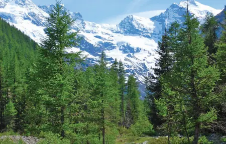 Location Appartement 4 personnes à Breuil Cervinia - Photo 6