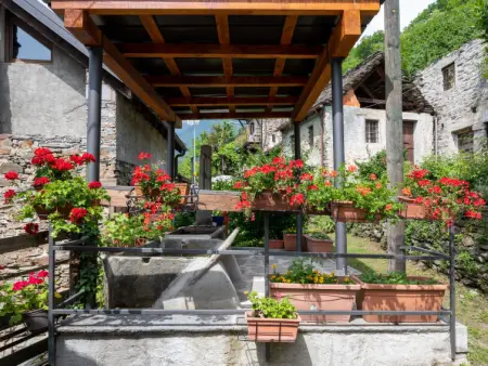 Il Gianlupo Grigio, Chalet 2 personnes à Bognanco - Photo 26