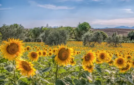 Location Maison 6 personnes à Montecastello - Photo 46
