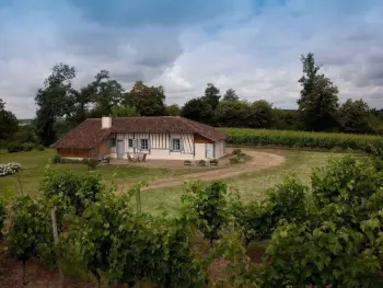 Gite à Mauvezin d'Armagnac,Gîte chaleureux avec cheminée et jardin, draps inclus, à Mauvezin-d'Armagnac FR-1-360-33 N°954348