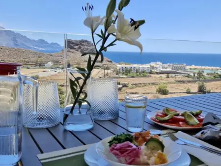 Appartements de luxe avec vues sur mer et montagnes à Agaete - Photo 11