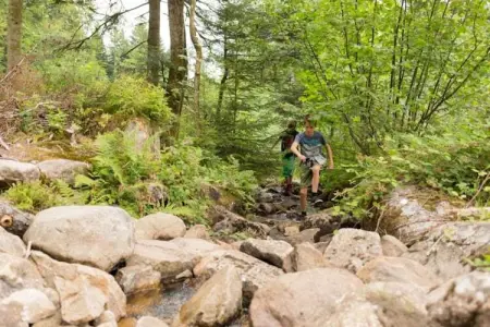 Domaine Des Messires 2, Tente 5 personnes à Herpelmont - Photo 28
