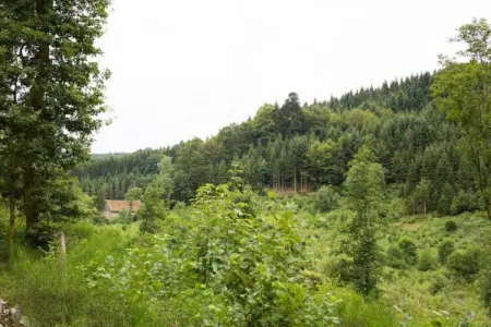 Domaine Des Messires 2, Tente 5 personnes à Herpelmont - Photo 29