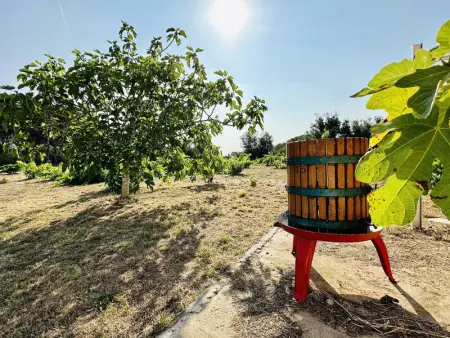 Belle maison avec piscine, Wi-Fi et climatisation à Santa Cristina d'Aro - Photo 9