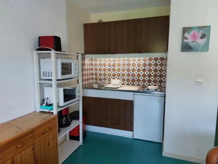 Appartement à Autrans, 500m du centre, 28m², balcon, 4 pers, au pied des pistes, parking privé - Photo 3