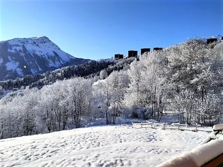 Chalet 3* · 8 pers · Grand confort · Terrasse · Parking privé - Photo 15