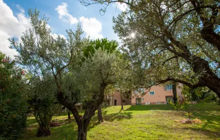 Location Maison 14 personnes à Servigliano - Photo 9