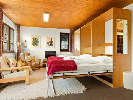 Aragon N103, Appartement 2 personnes à Ernen - Photo 16