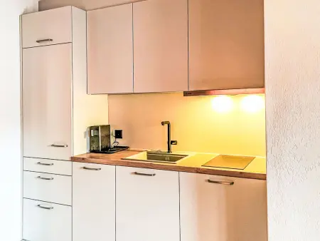 Platten, Appartement 2 personnes à Gersau - Photo 6