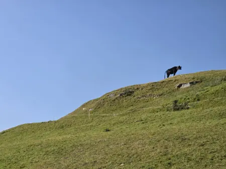 Rustico Cà dru Lurenz, Maison 6 personnes à Malvaglia - Photo 22