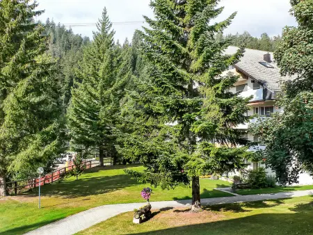 Val Signina, Appartement 2 personnes à Laax - Photo 10