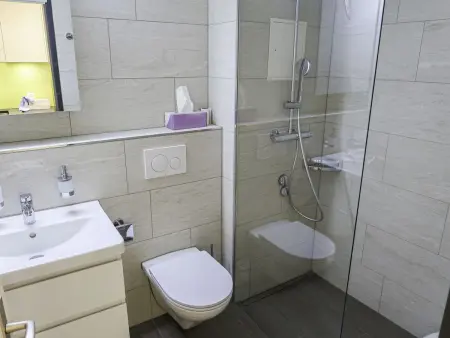 Apt B 053, Appartement 2 personnes à Disentis - Photo 5