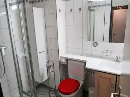 Apt B 048, Appartement 7 personnes à Disentis - Photo 15
