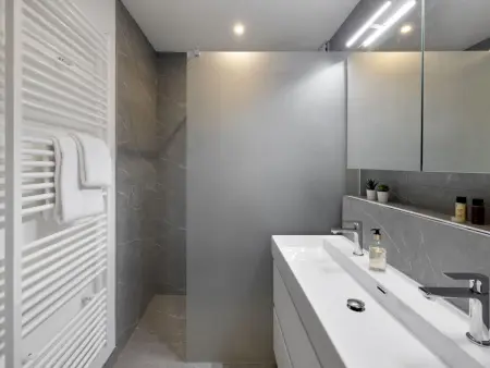 Allod Park Haus C 106, Appartement 4 personnes à Davos - Photo 3