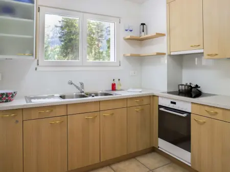Allod Park Haus B E01, Appartement 4 personnes à Davos - Photo 1