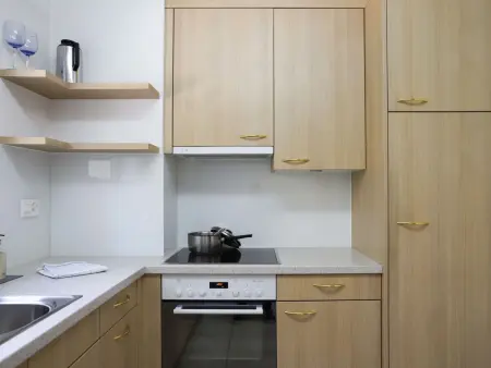 Allod Park Haus B E01, Appartement 4 personnes à Davos - Photo 8
