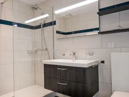 Allod Park Haus C 404, Appartement 2 personnes à Davos - Photo 2